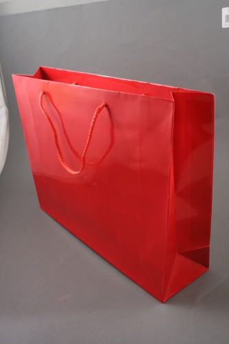 Red Glossy Gift Bag with Cord Handles. Size Approx 28cm x 36cm x 10cm.
