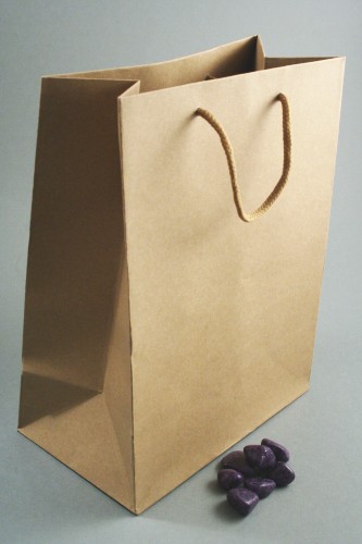 Natural Brown Paper Gift Bag with Corded Handle. Approx Size 23cm x 18cm x 10cm